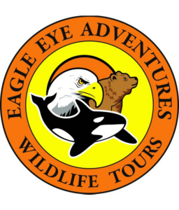 Eagle Eye Adventures